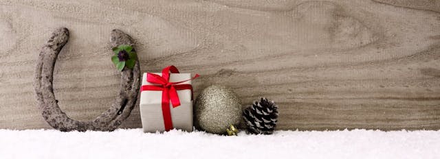 Standlee’s Ultimate Gift Guide for Livestock and Animal Lovers