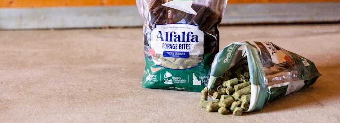 Alfalfa Forage Bites -  Healthy Treats Made for Horses.