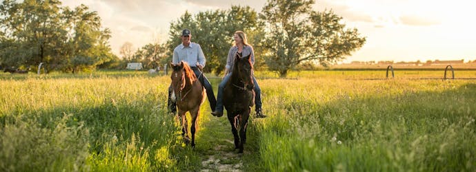 What Can I Feed My Horse to Manage Gastric Ulcers