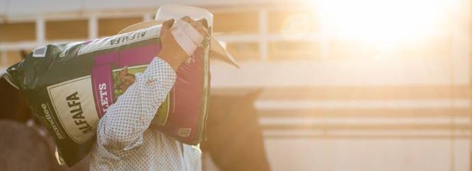 Everything you need to know about forage pellets for horses.