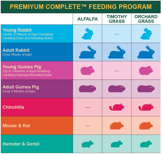 PremiYum complete feeding program chart
