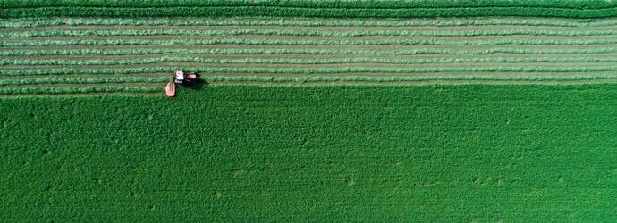 Must-Know Proper Forage Storage Tips