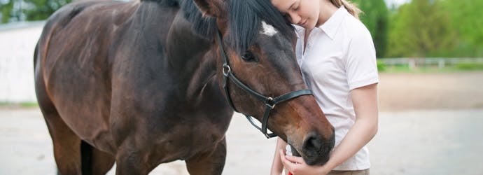 Feeding Neglected Horses