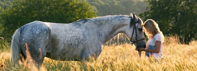 Giving Horses Pills Just Got Easier
