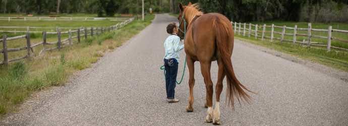 5 Common Horse Feeding Mistakes