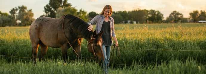 Feed Your Passion, Feed Your Horse