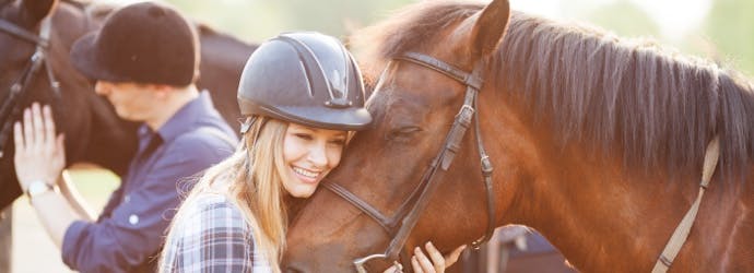 Gastric Ulcers in Horses