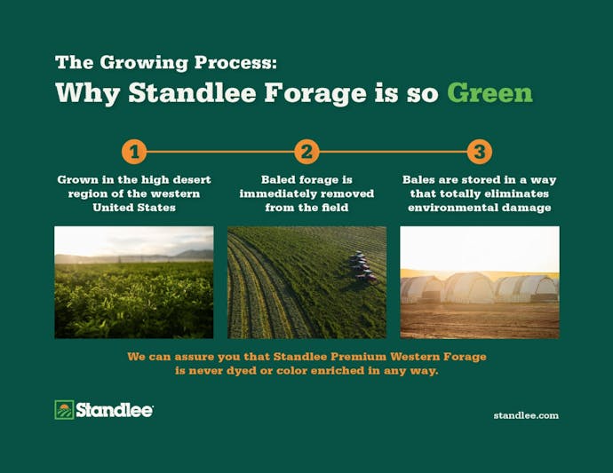 Standlee Growing Process Infographic