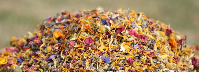 New Product - Spruce the Coop® Herbal Fusion Nesting Box Herbs