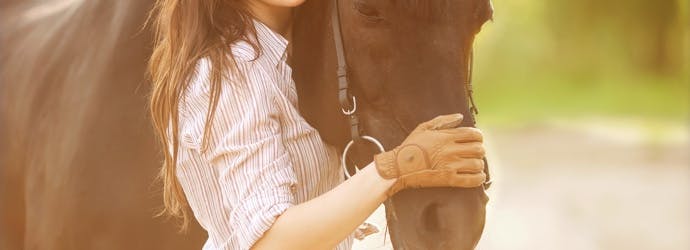 Decrease horse risk of colic with nutrition management
