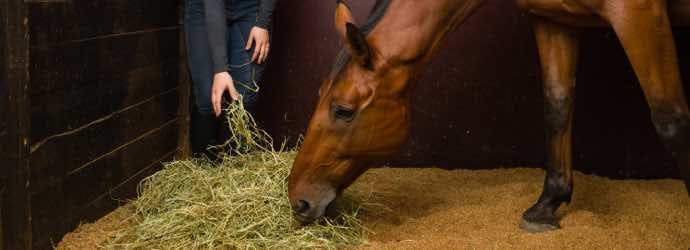 Top 10 asked questions on Grab & Go Compressed Bales