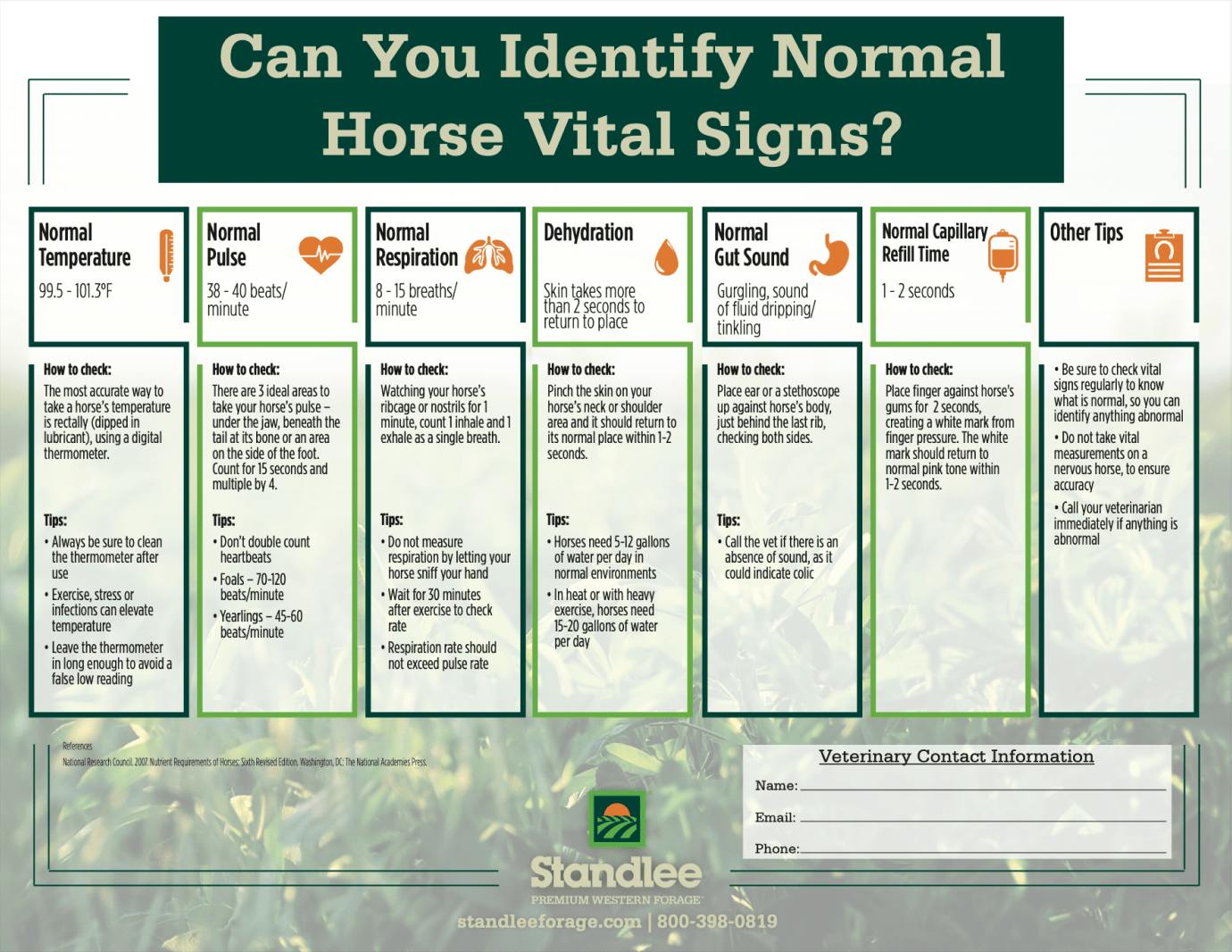 Can You Identify Normal Horse Vital Signs? Oregon Horse Council