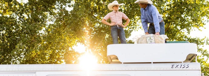 Top 3 tips for traveling with your horse this summer.