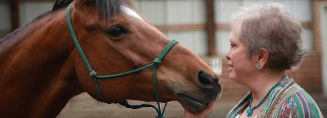 How Horses Heal the Trauma that Comes with Breast Cancer
