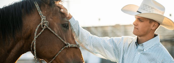 How much protein do horses need in their diets?