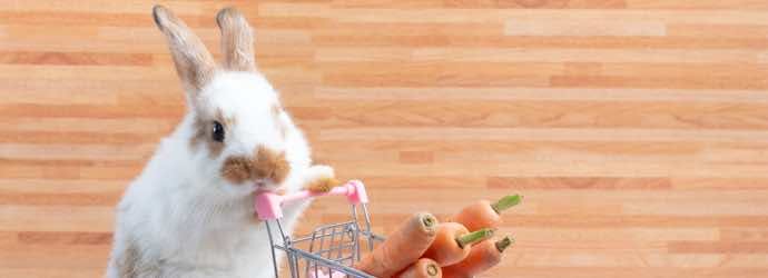 Grocery Shopping for Rabbit Food