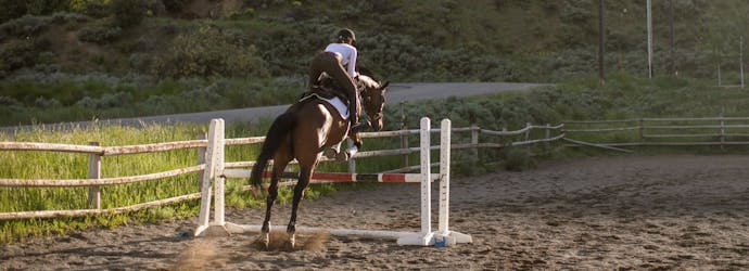 Simple steps to bring your horse back after winter