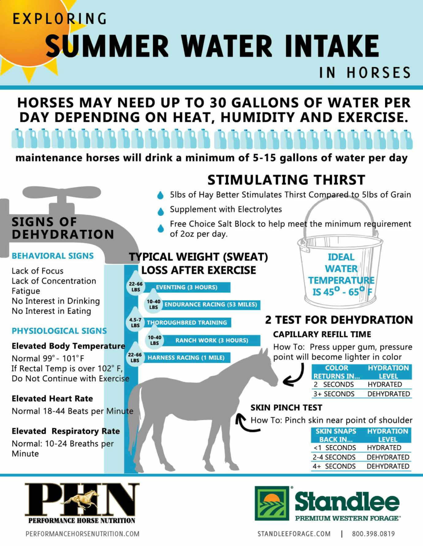 summer water intake guide for horses
