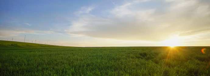 Standlee Alfalfa is Grown Using Sustainable Agriculture Practices