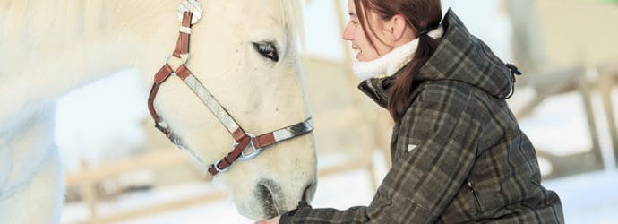 How Winter Affects Horses - Temperatures & Feeding