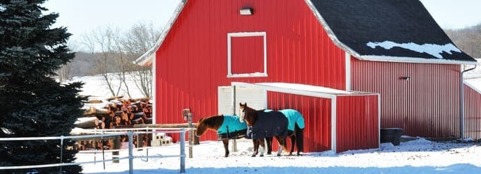 How much hay you need to store for the winter months?