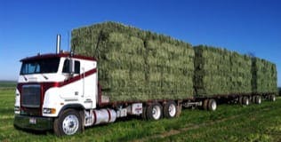 Truck with hay