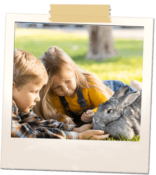 Children with large rabbit
