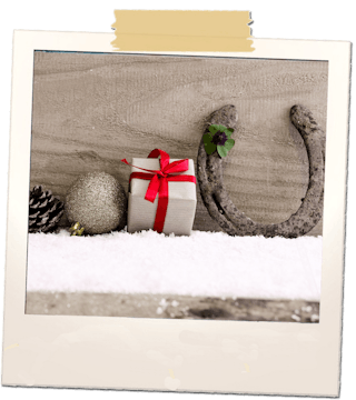 Pinecone, gift and snow