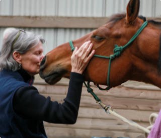 Clinton Anderson smiling on horse