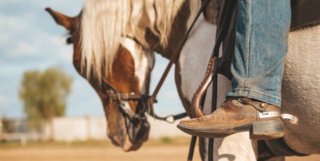 Rider on horse