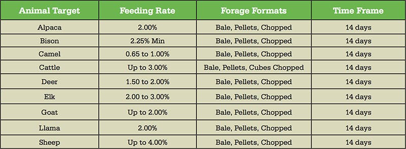 Feeding Insturctions