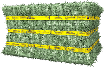 Certified Alfalfa Compressed Bale Product Photo