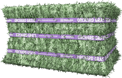 Premium Orchard Grass Compressed Bale Product Photo