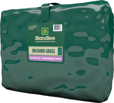 Premium Orchard Grass Grab & Go Compressed Bale Product Photo