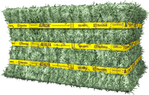 Certified Alfalfa Compressed Bale