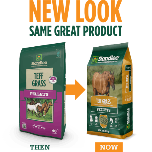 Premium Teff Grass Pellets Package Comparison