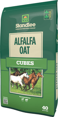 Premium Alfalfa/Oat Grass Cubes Product Photo