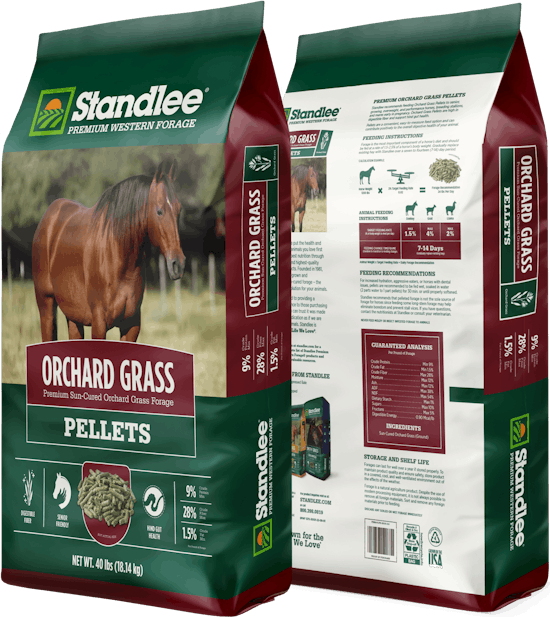 Orchard Grass aspects