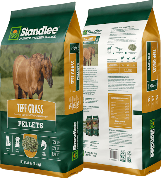 Teff Grass aspects
