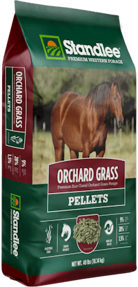 Premium Orchard Grass Pellets Product Photo