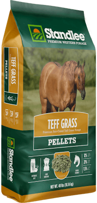 Premium Teff Grass Pellets Product Photo