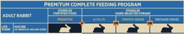 Adult Rabbit Feeding Program Chart