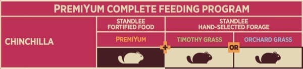 Chinchilla Feeding Program Chart