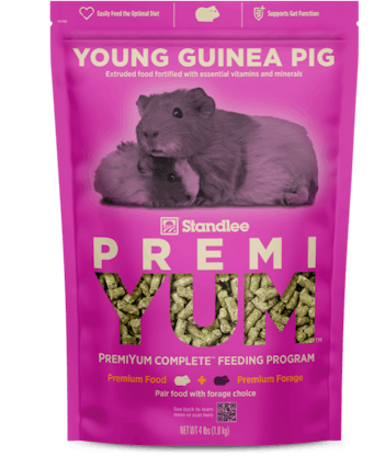 guinea lynx food