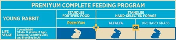 Young Rabbit Feeding Program Chart