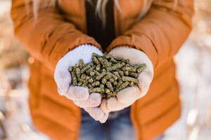 Handful of grain