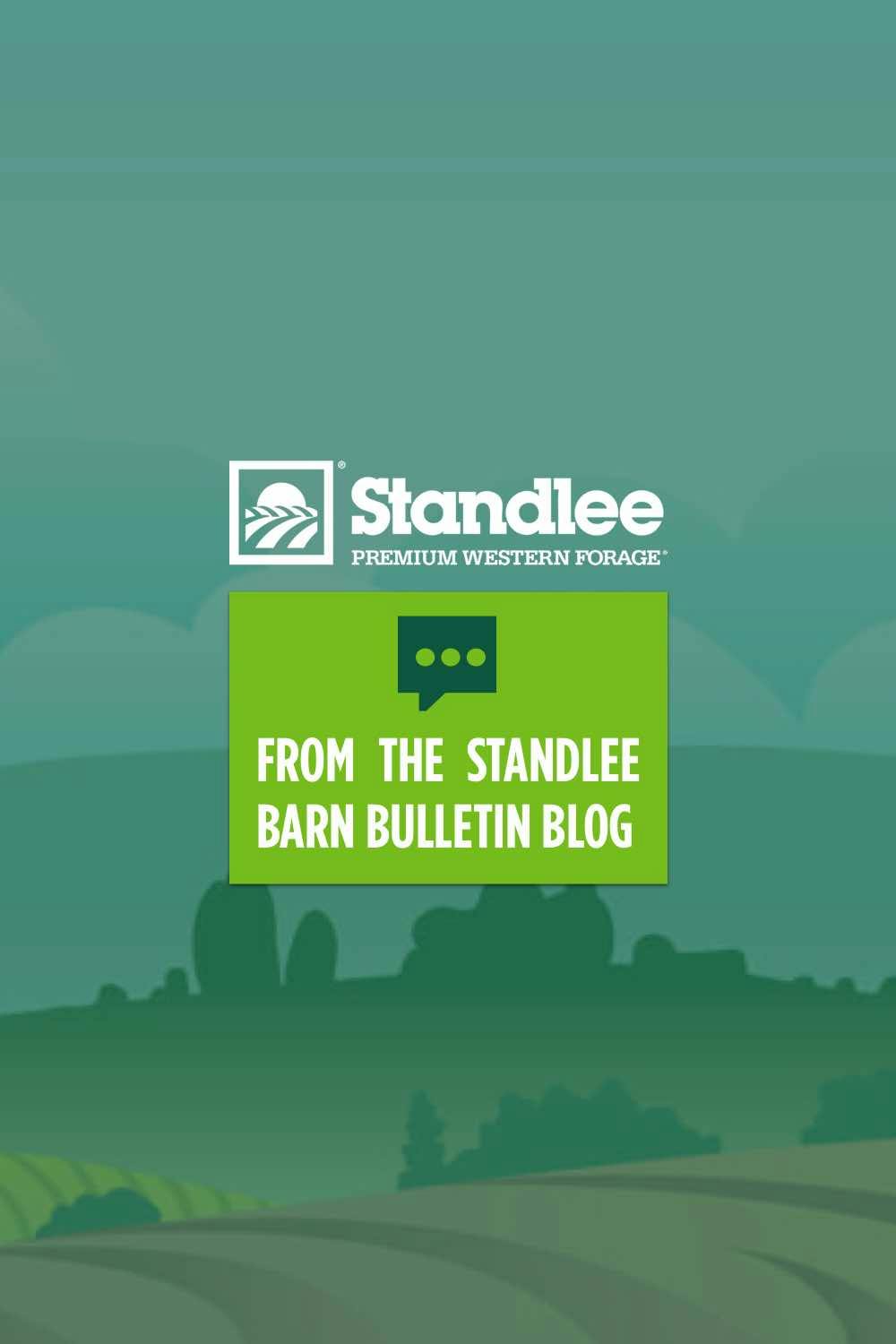 Benefits of Canola Oil for Horses