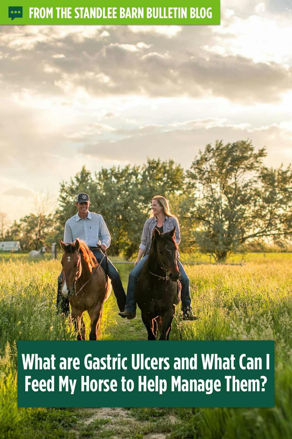 What Can I Feed My Horse to Manage Gastric Ulcers