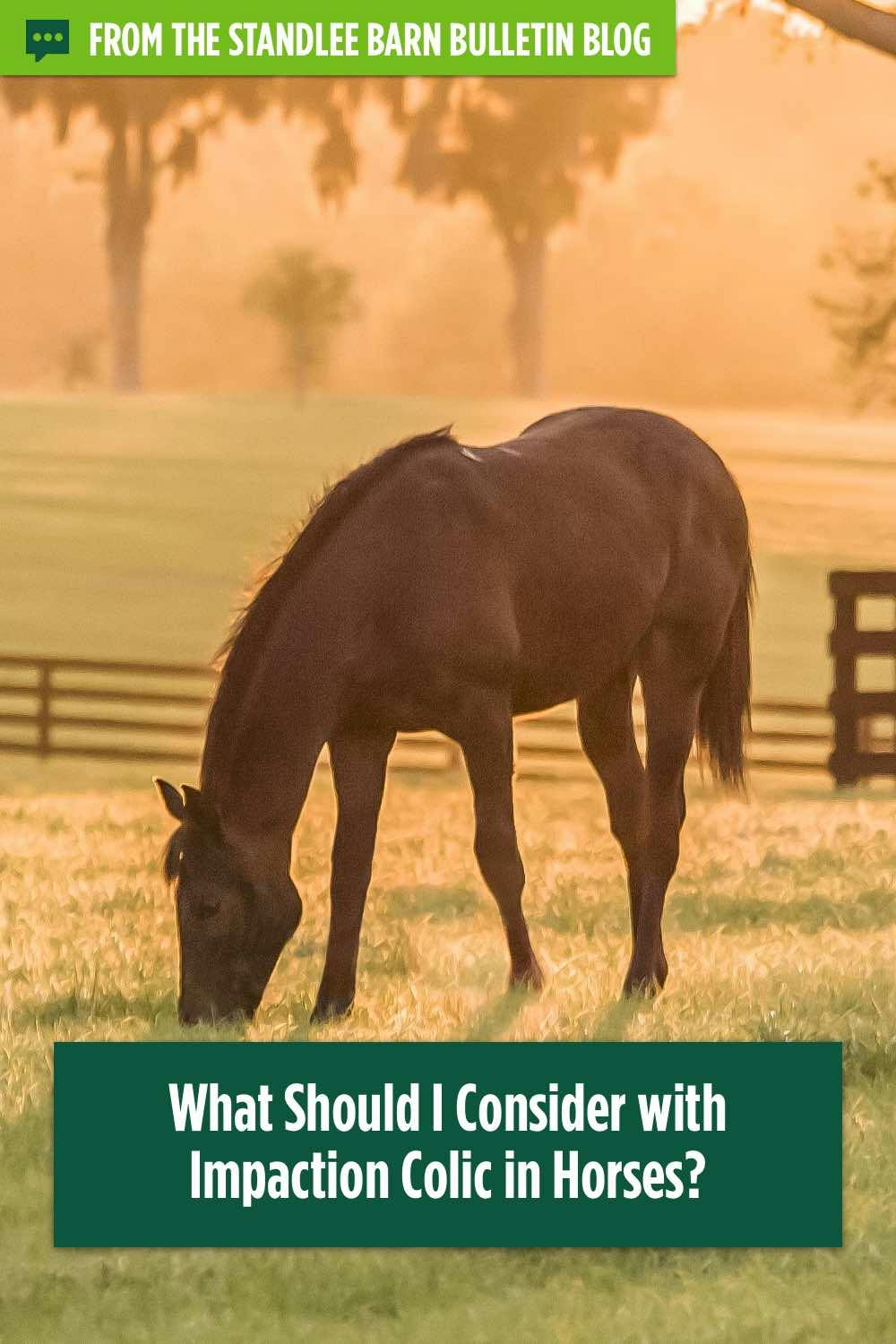 What Should I Consider With Impaction Colic In Horses?