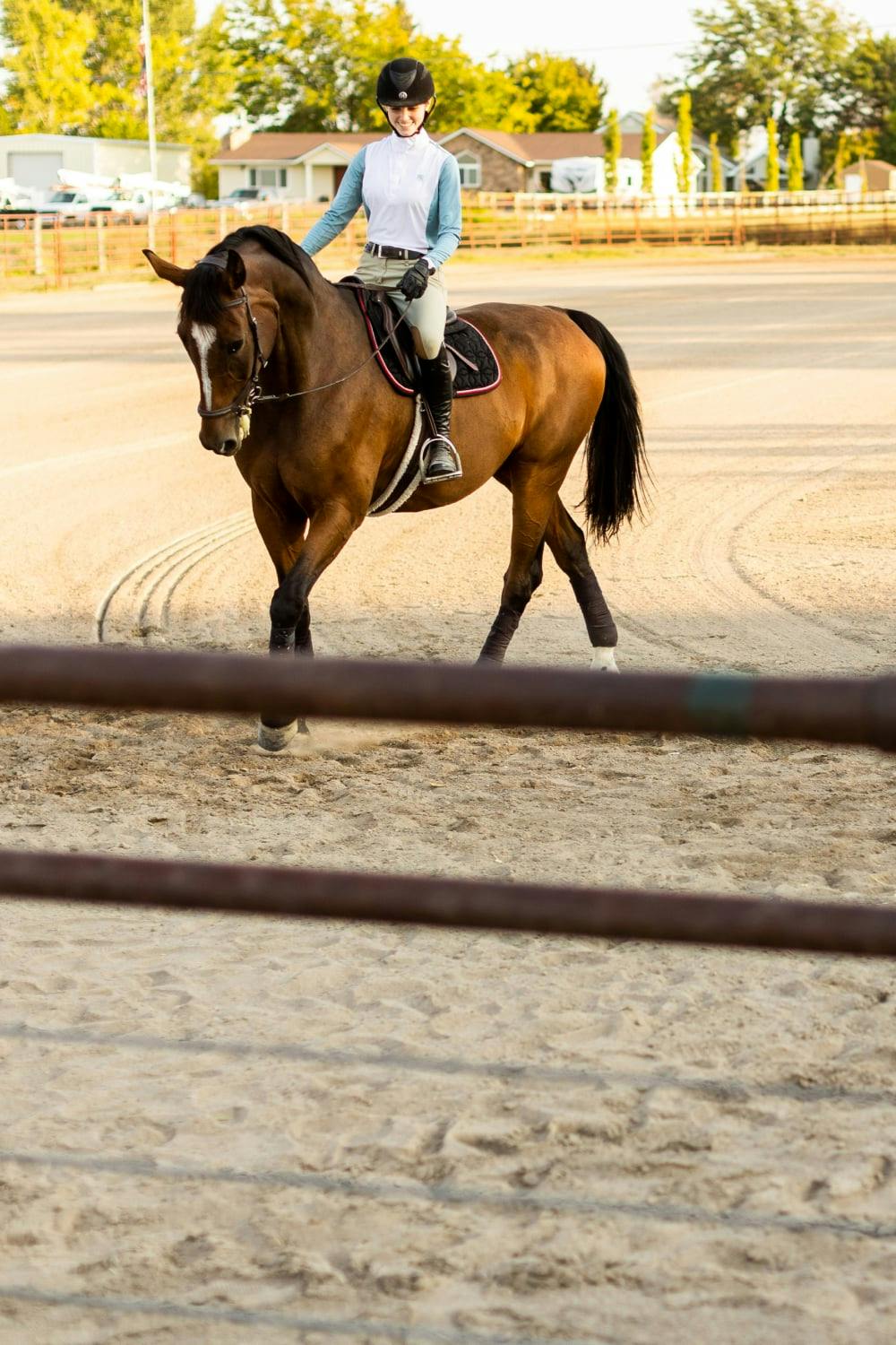 Feeding the Performance Horse